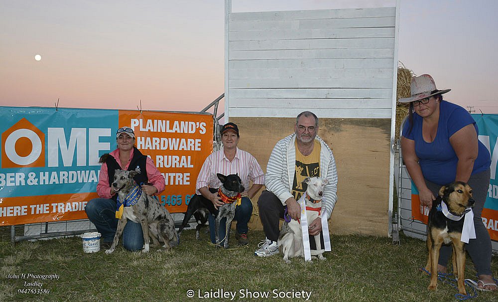Laidley Show Society ;Day 2; - Day 2 2017 Laidley SHow